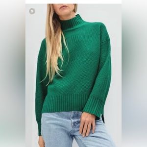 Everlane cashmere  turtleneck